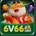 6v66bet