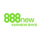 888new13