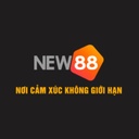 new8833