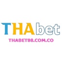 thabet31