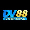 dv8896