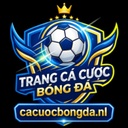 cacuocbongdanl