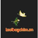 luoibaychim