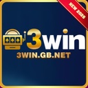 3wingbnet1