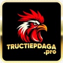 tructiepdagapro1