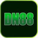 dn88art