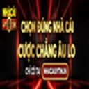 lehongxuannhacaiuytin