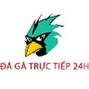 dagatructiep0