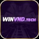 winvndtech