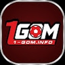 1gominfo1