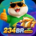 234br1