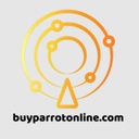 buyparrotonlinecom