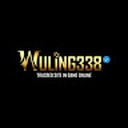 wuling338