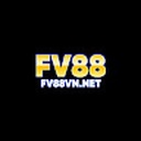 fv88v