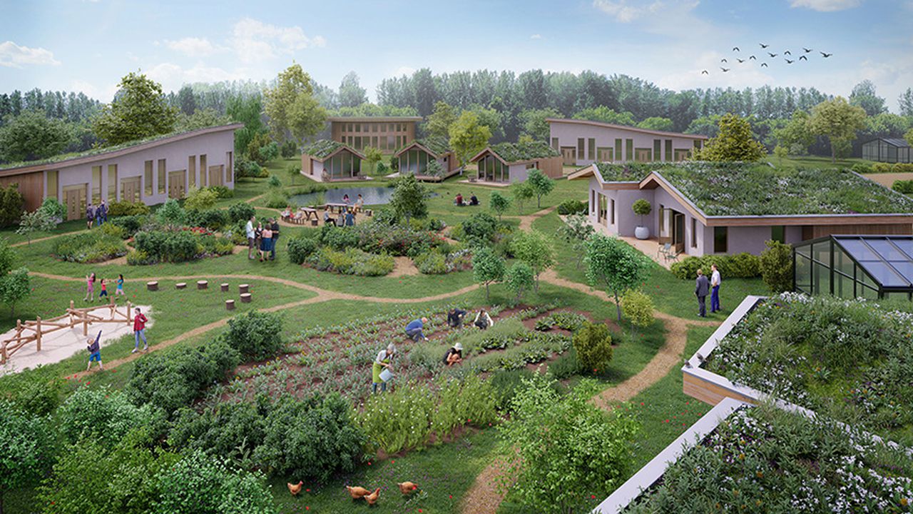 Blender.Today — Blender Community