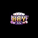 haywin303