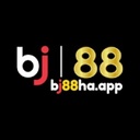 bj88107