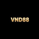 vnd88151