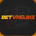 betvndbiz