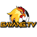 gavangtvinfo