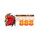gacam8882