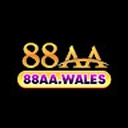 88aa859