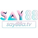 say8813