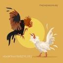 thomohomnaytructiepagathomo1