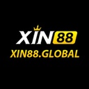 xin8856