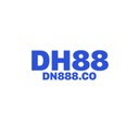 dn888co