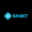 shbet384