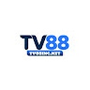 tv88incnet