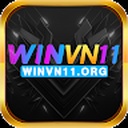 winvn11org