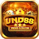 vnd88-8cn