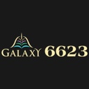 6623vin