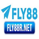 fly8876