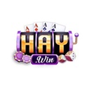 haywinsanchoigiaitri