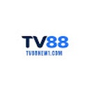 tv88new1com