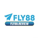 fly882