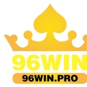 96winpro1