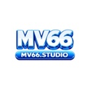 mv667