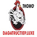 a_ga_truc_tiep49