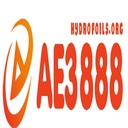 ae3888hydrofoils