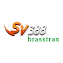 sv388991