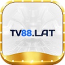 tv88beauty
