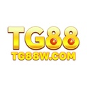 tg88wcom