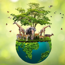 leccebiodiversity