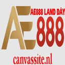 ae888canvassite