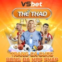 vsthethao1