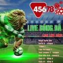 45678procom1
